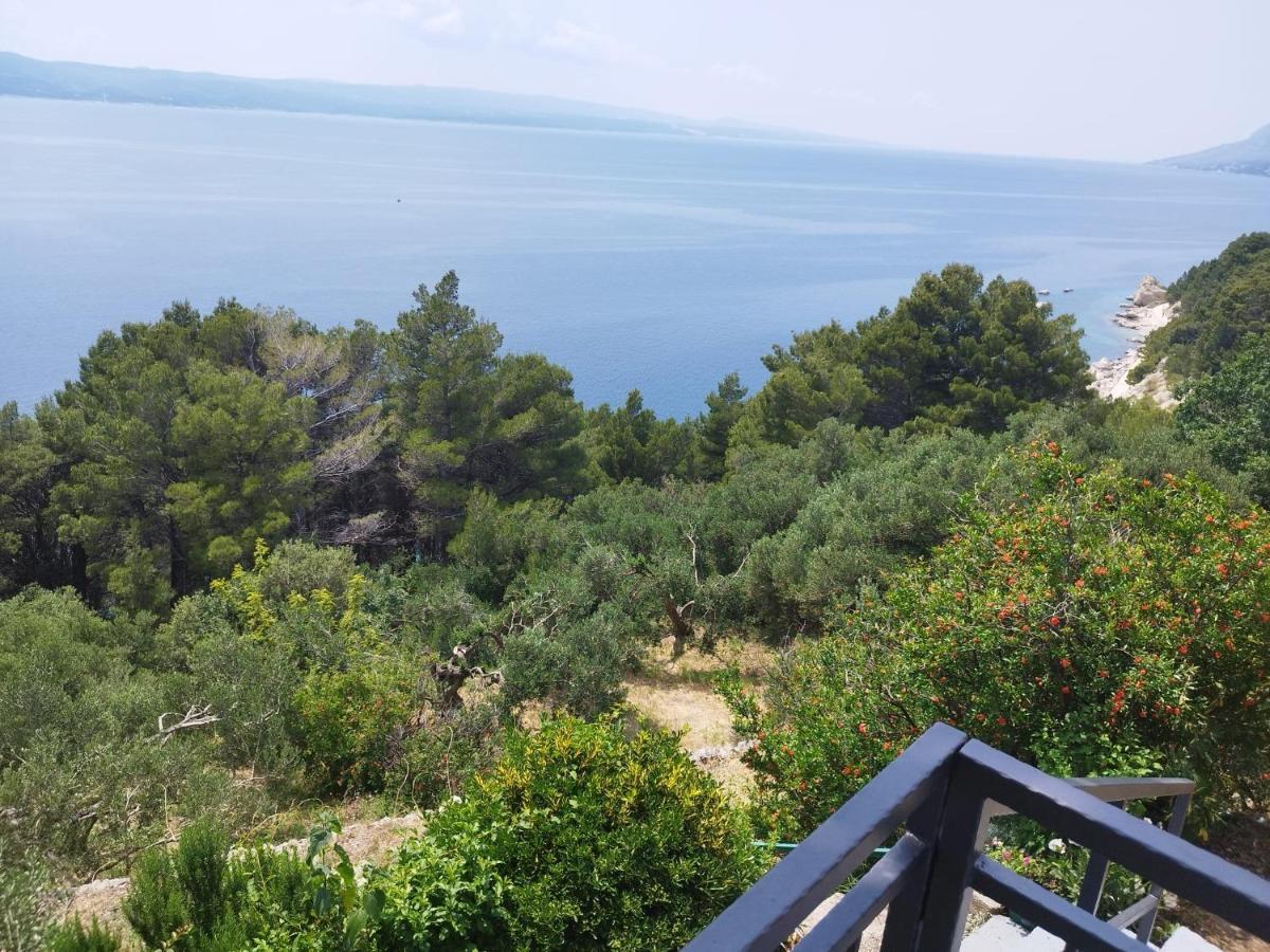 Apartments Mare - 150 M From Beach بريلا المظهر الخارجي الصورة