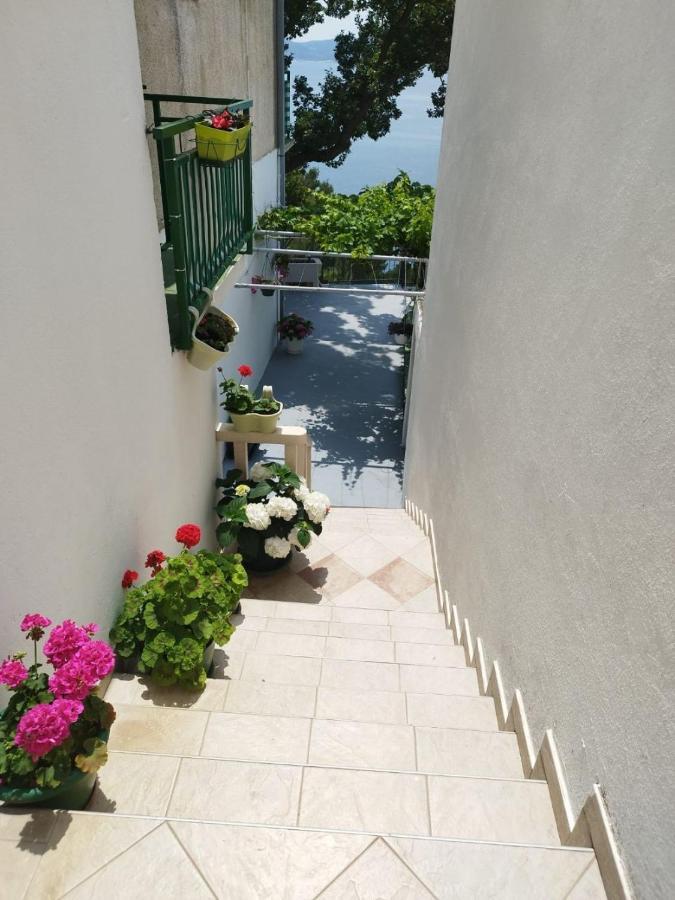 Apartments Mare - 150 M From Beach بريلا المظهر الخارجي الصورة